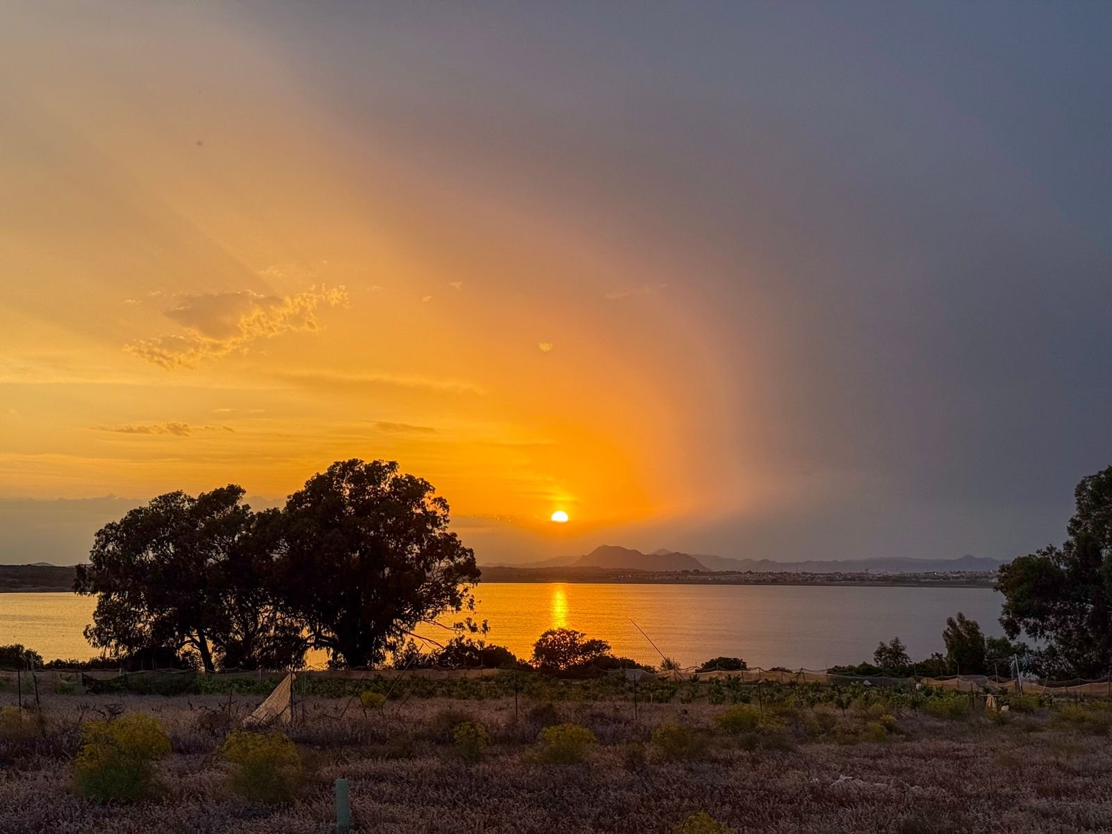 Nieruchomości La Mata