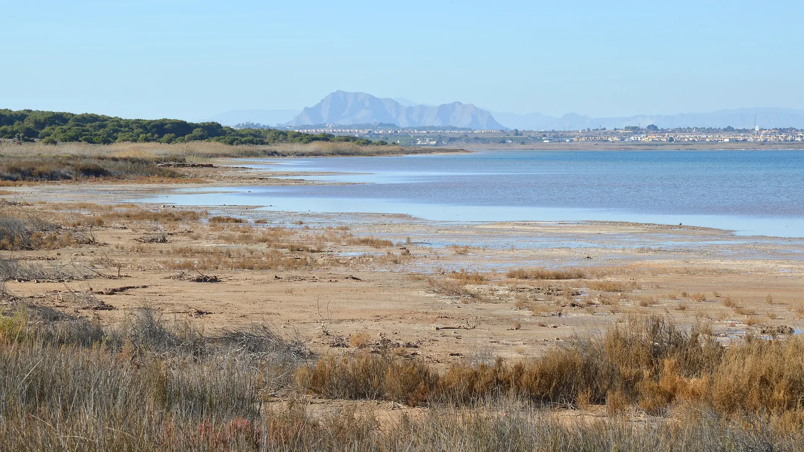 Laguna w Torrevieji w słoneczny lutowy dzień