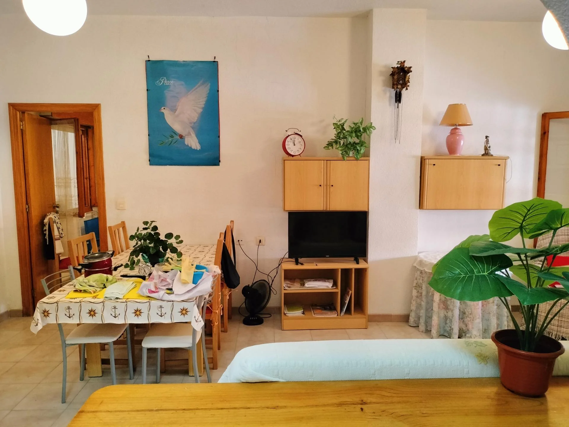Apartment Torrevieja – photo 4