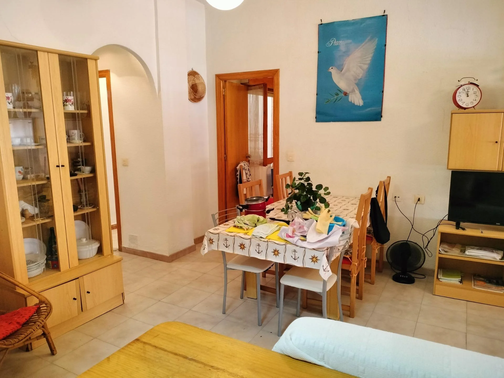 Apartment Torrevieja – photo 5